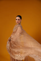 BIJLEE SAREE